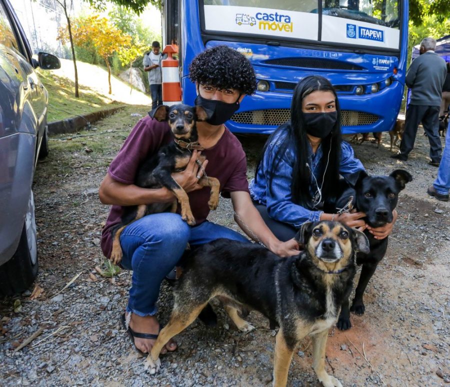 Prefeitura de Itapevi abre inscrições para castração de cães e gatos