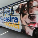 Itapevi abre novas inscrições para castração gratuita de cães e gatos