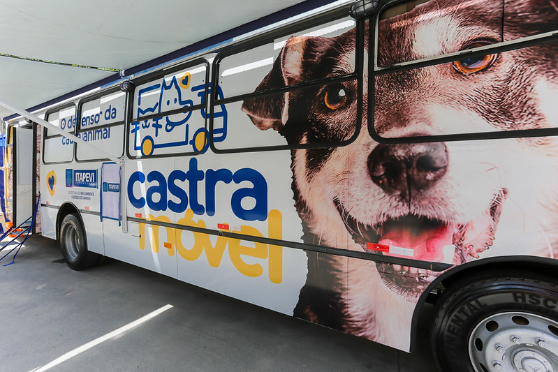 Itapevi abre 5 mil vagas para 6ª Campanha de Castração de Cães e Gatos