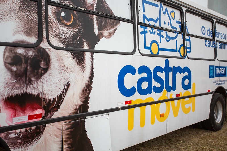Prefeitura de Itapevi realiza 7ª Campanha de Castração de Cães e Gatos