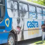 10ª Campanha de Castração Gratuita de Cães e Gatos em Itapevi: Mil Vagas Disponíveis!